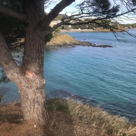 Renove A Llanca, Costa Brava, A Deux Pas De La Et De La Nature 公寓 兰卡